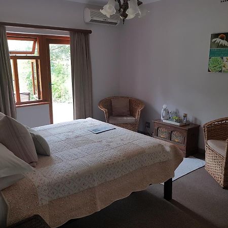 Te Amo Guesthouse 스텔렌보스 외부 사진